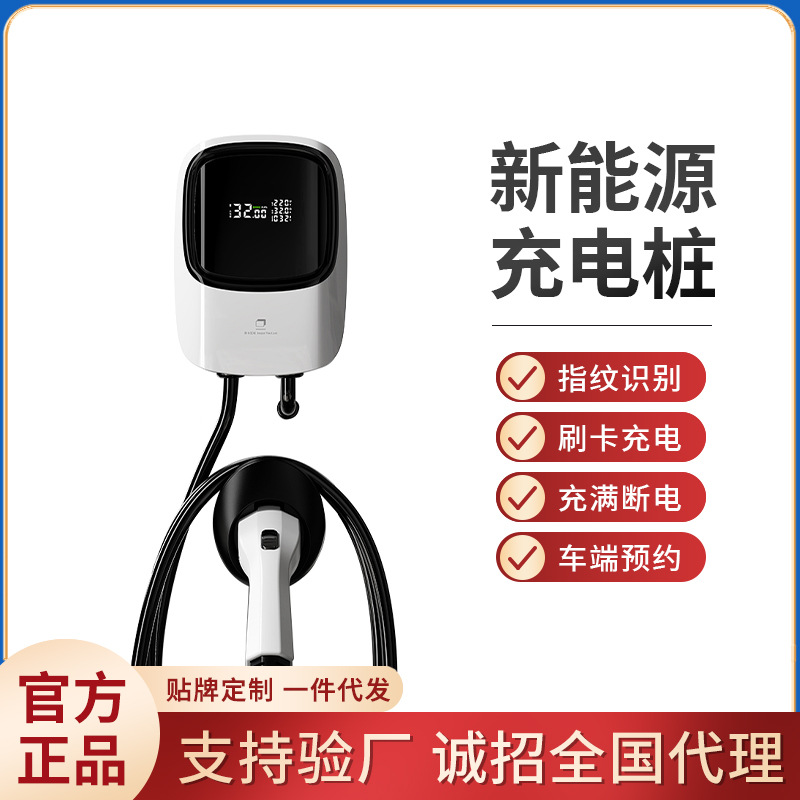 vehicle charging pile household 7kw fast charging BYD/fit for Tesla