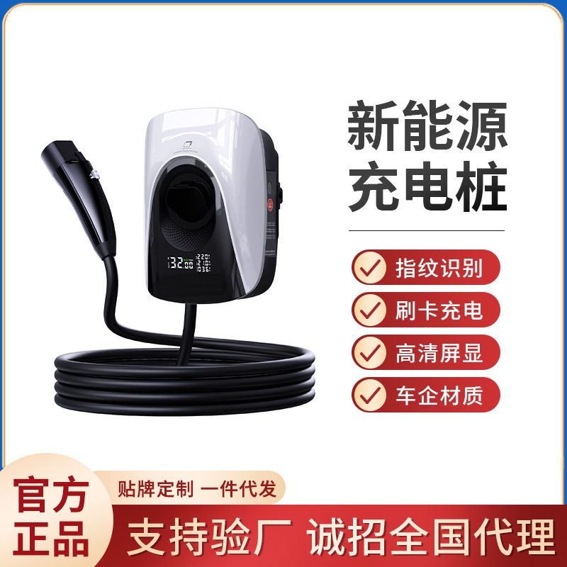 Vehicle Charging Pile Household 7KW Fast Charging  fit for Tesla / fit for BYD /fit for Wuling mini  E'an