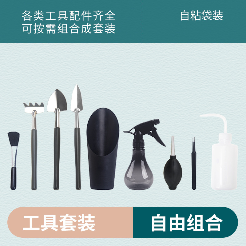 succulent plants large tools planting suit plastic flower growing vegetables suit planting tools watering can gardening 