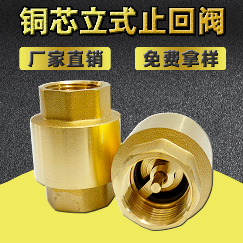 one-way valve four-inch copper core thickened internal thread check spring brass vertical check valve dn100