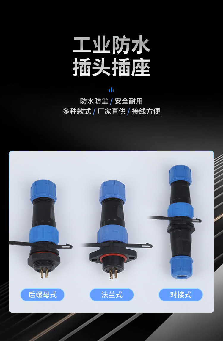 sp13-(2)_02