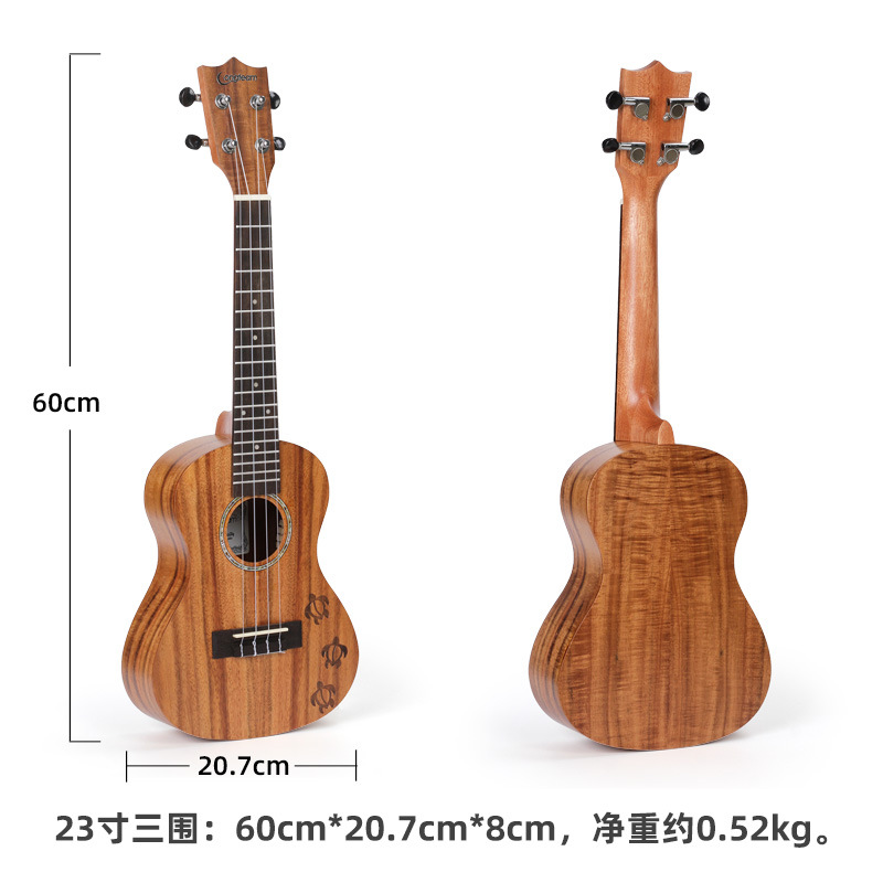 规格2.jpg