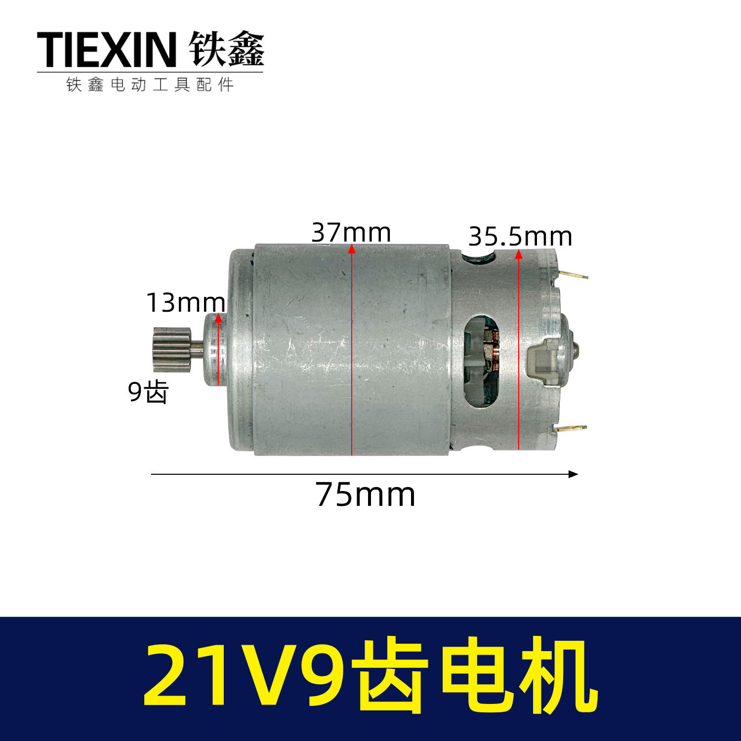 21V9 tooth motor-03318-1